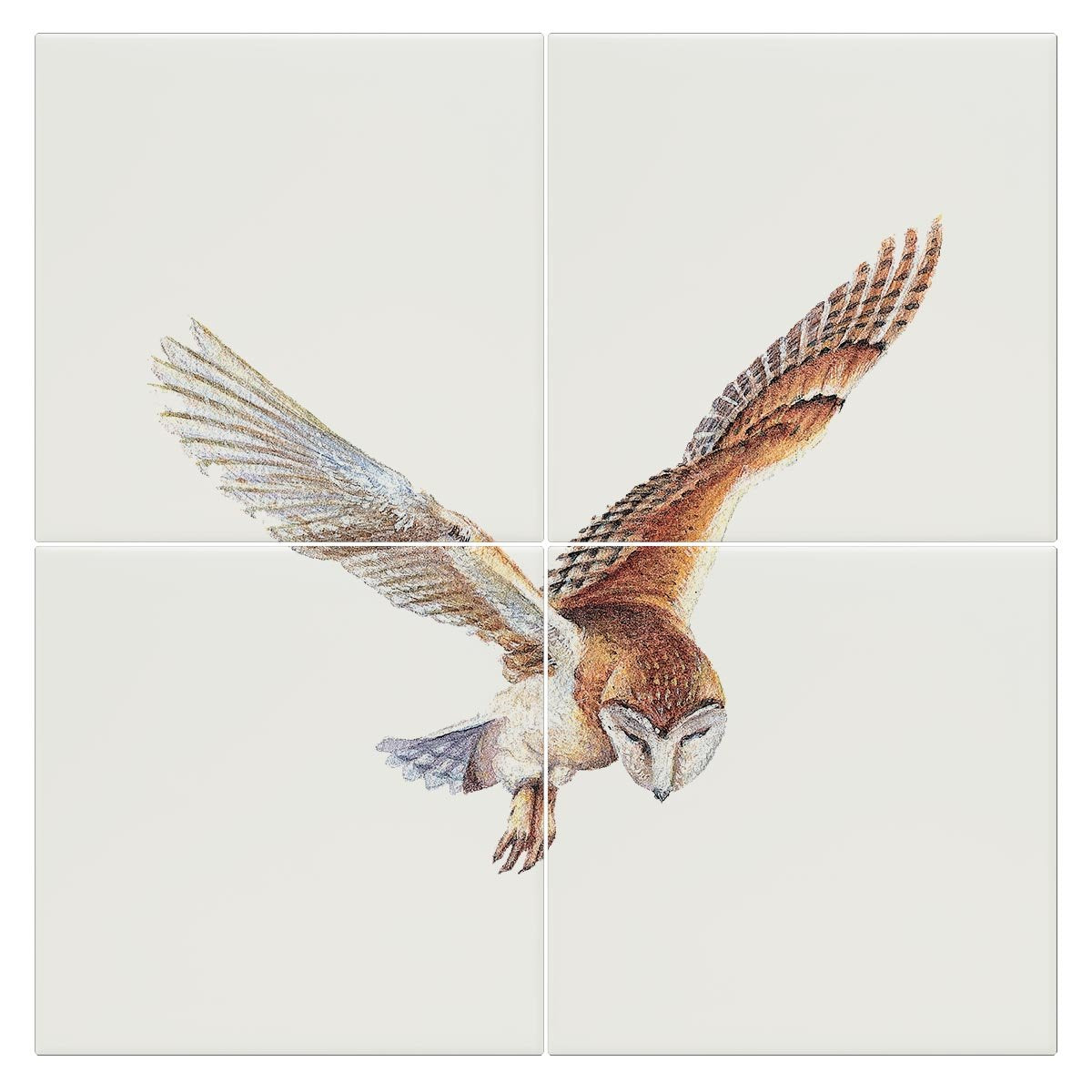 Barn Owl in Flight Tile - Countryman John