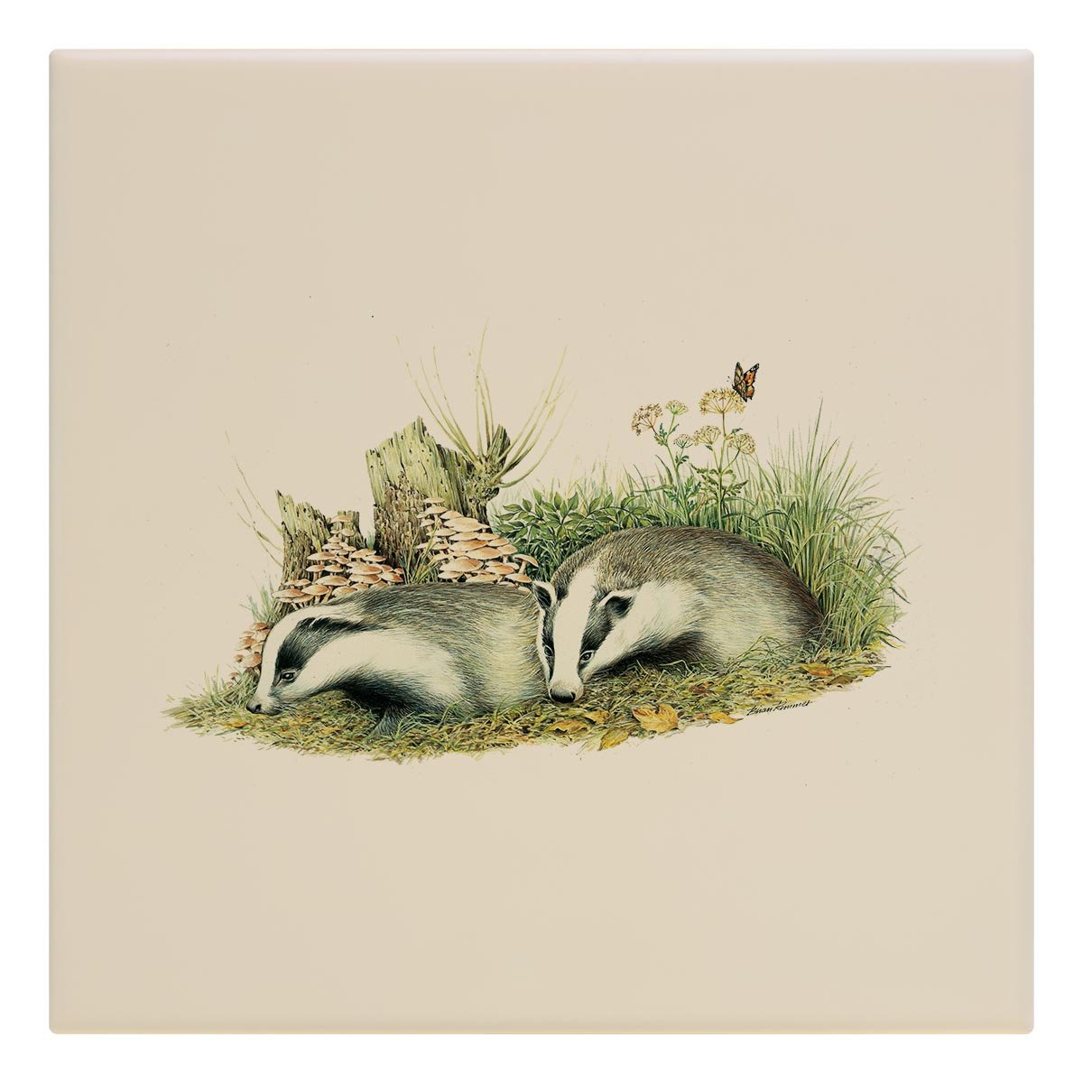 Badger Cubs Tile - Countryman John