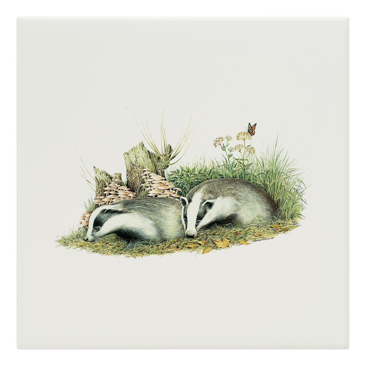 Badger Cubs Tile - Countryman John