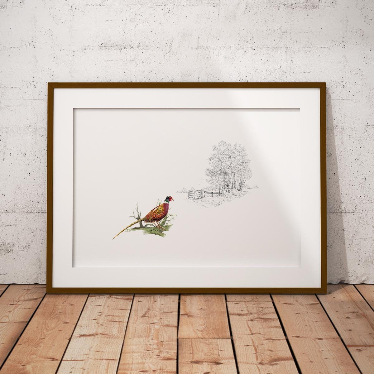 Pheasant Alone Wall Art Print - Countryman John