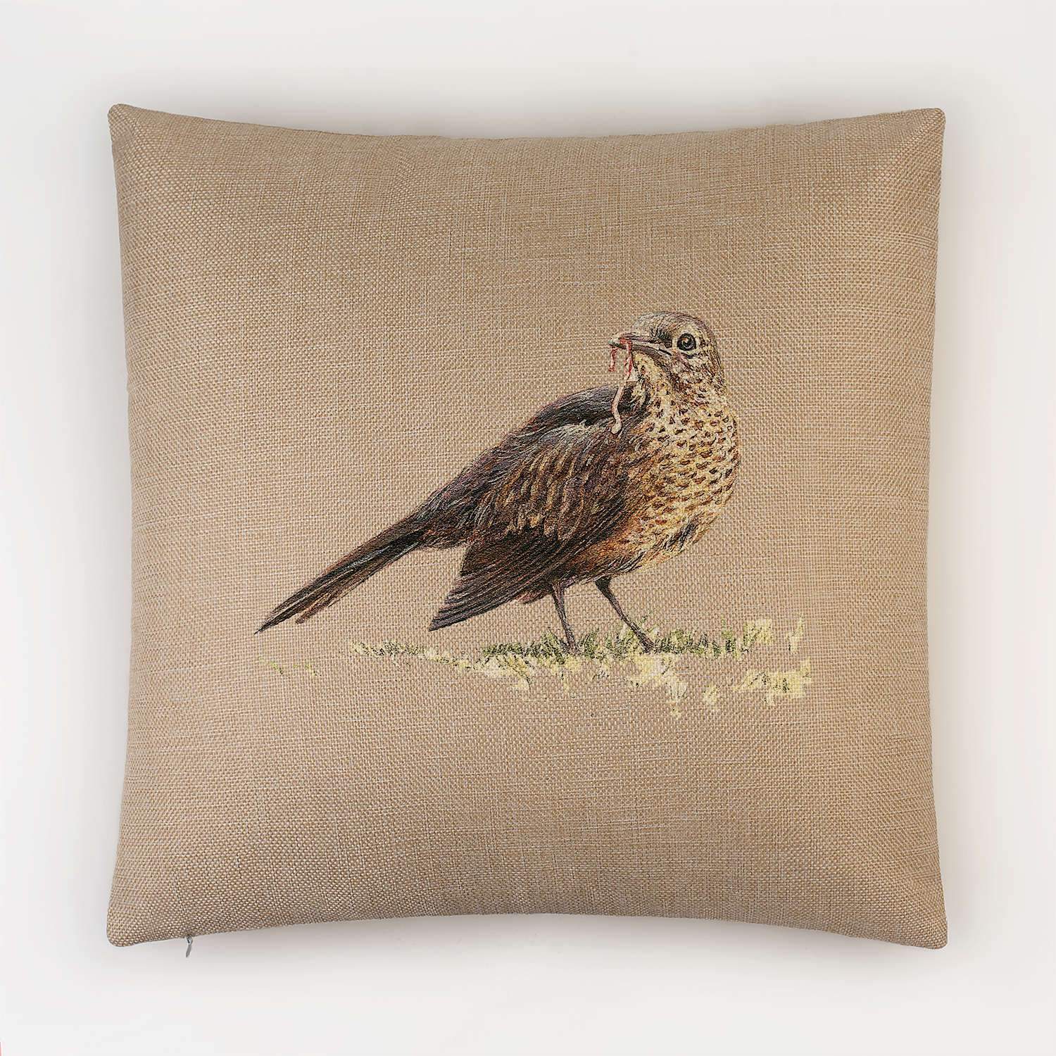 Song Thrush Cushion - Countryman John