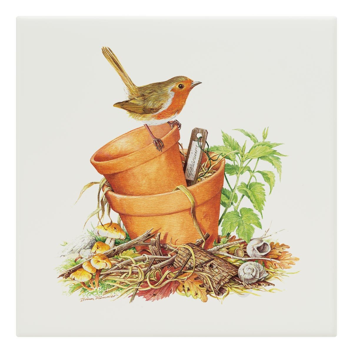 Robin Tile - Countryman John