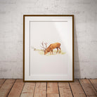 Drinking Red Stag Wall Art Print - Countryman John