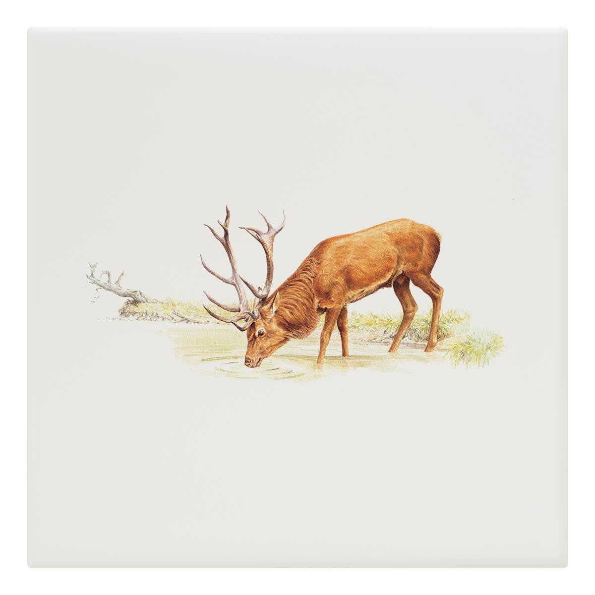 Drinking Red Stag Tile - Countryman John