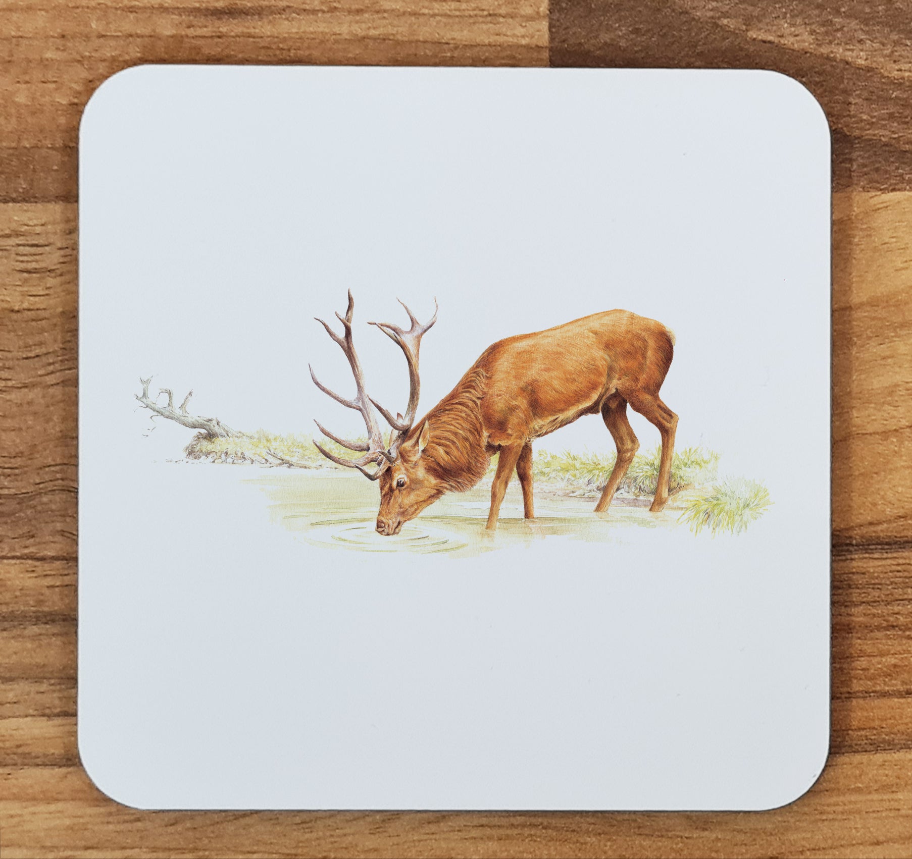 deer coaster