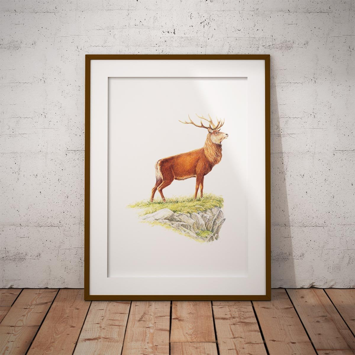 Glorious Stag Wall Art Print - Countryman John