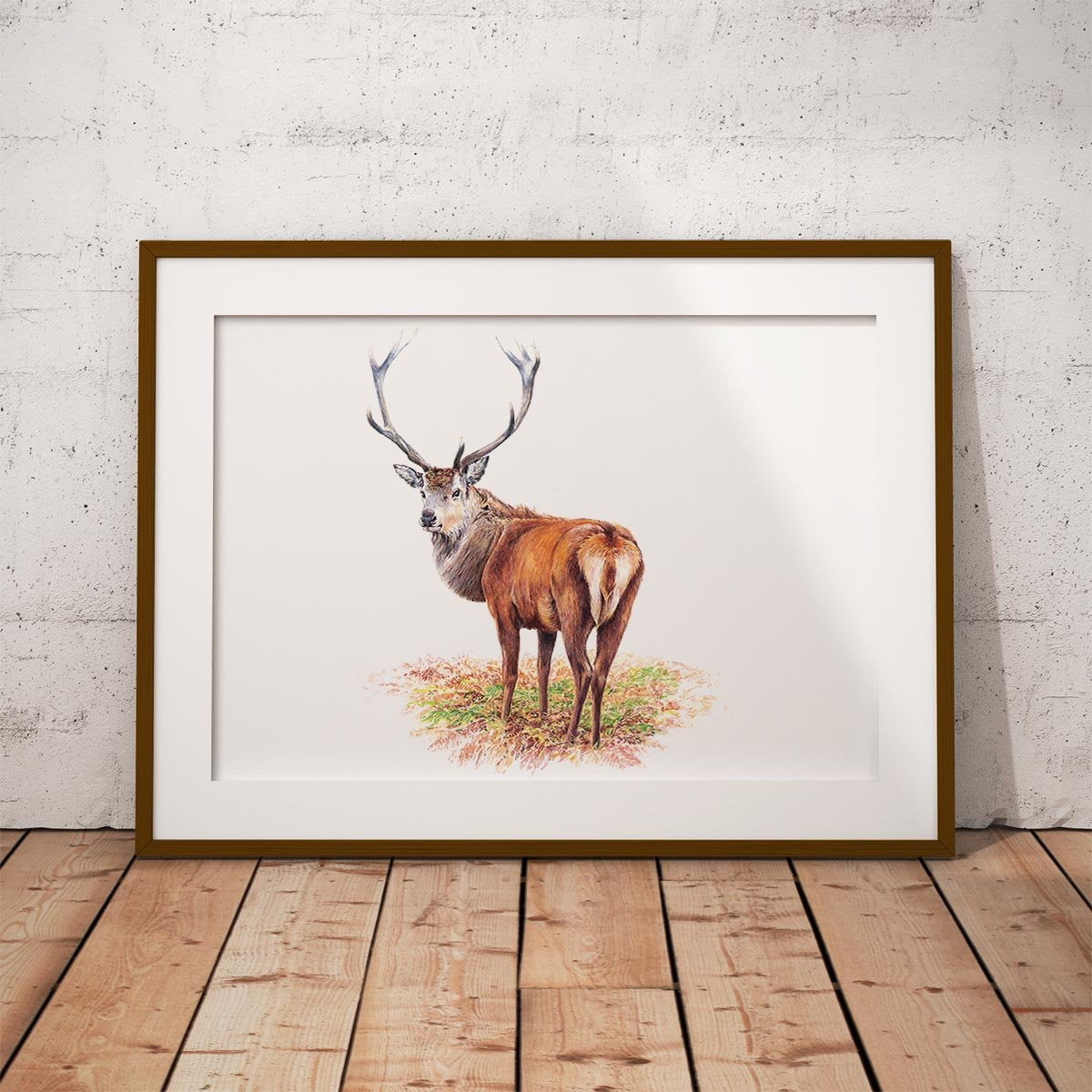 Proud Red Stag Wall Art Print - Countryman John