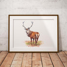 Proud Red Stag Wall Art Print - Countryman John