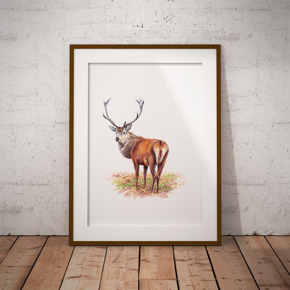 Proud Red Stag Wall Art Print - Countryman John