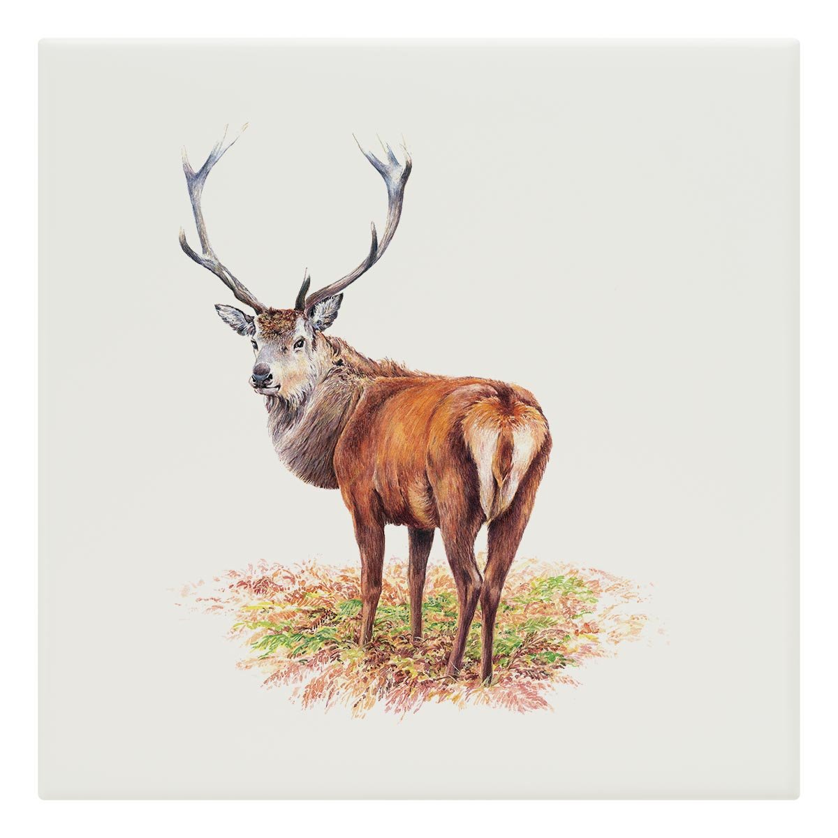 Proud Red Stag Tile - Countryman John