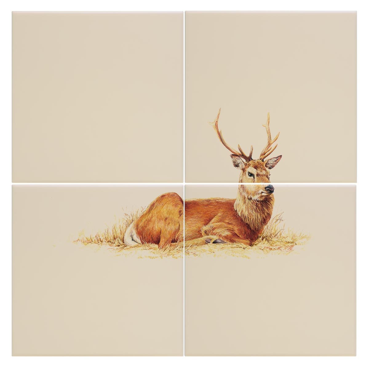 Resting Stag Tile - Countryman John