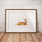Resting Stag Wall Art Print - Countryman John