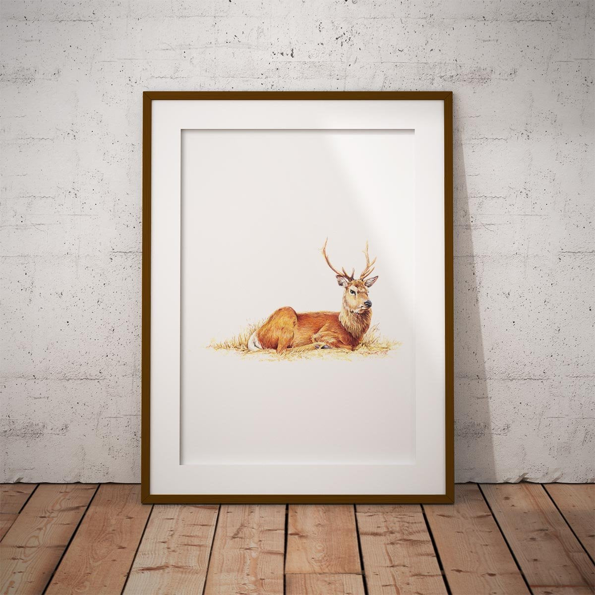 Resting Stag Wall Art Print - Countryman John
