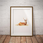 Resting Stag Wall Art Print - Countryman John