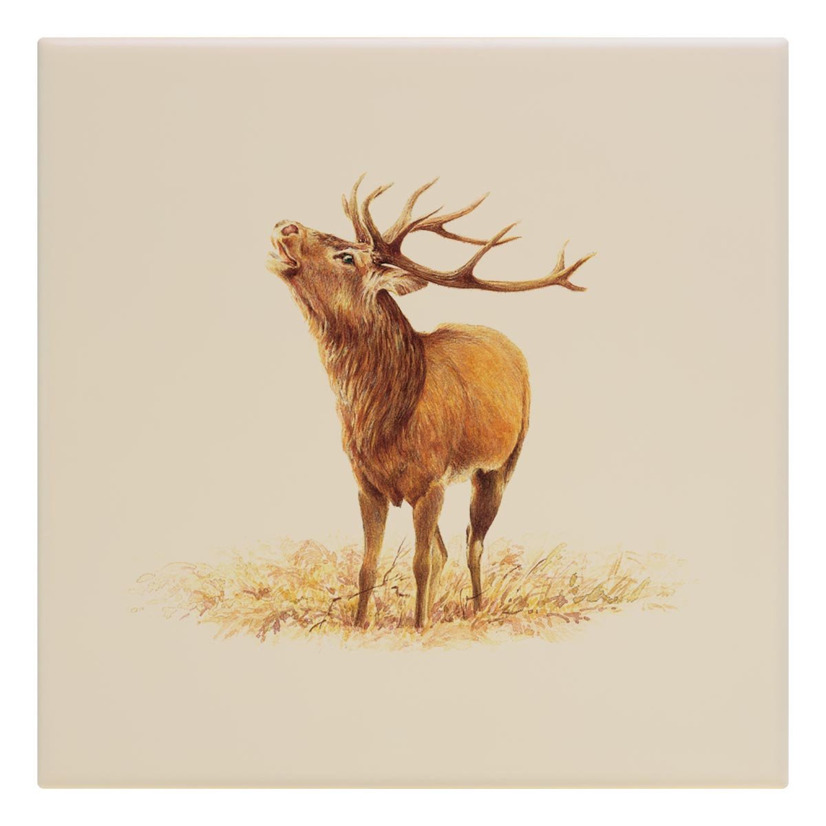 Roaring Stag Tile - Countryman John