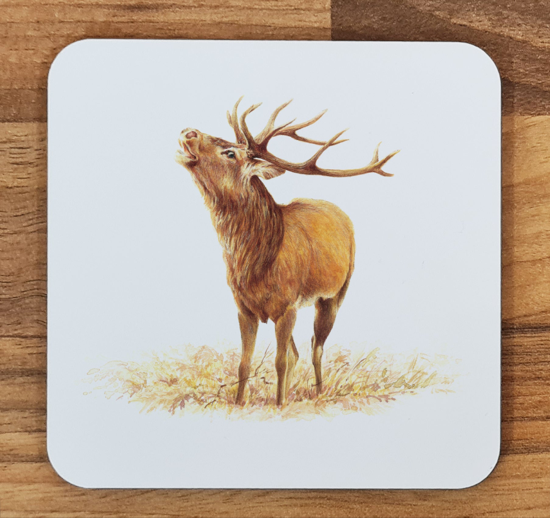 deer coaster
