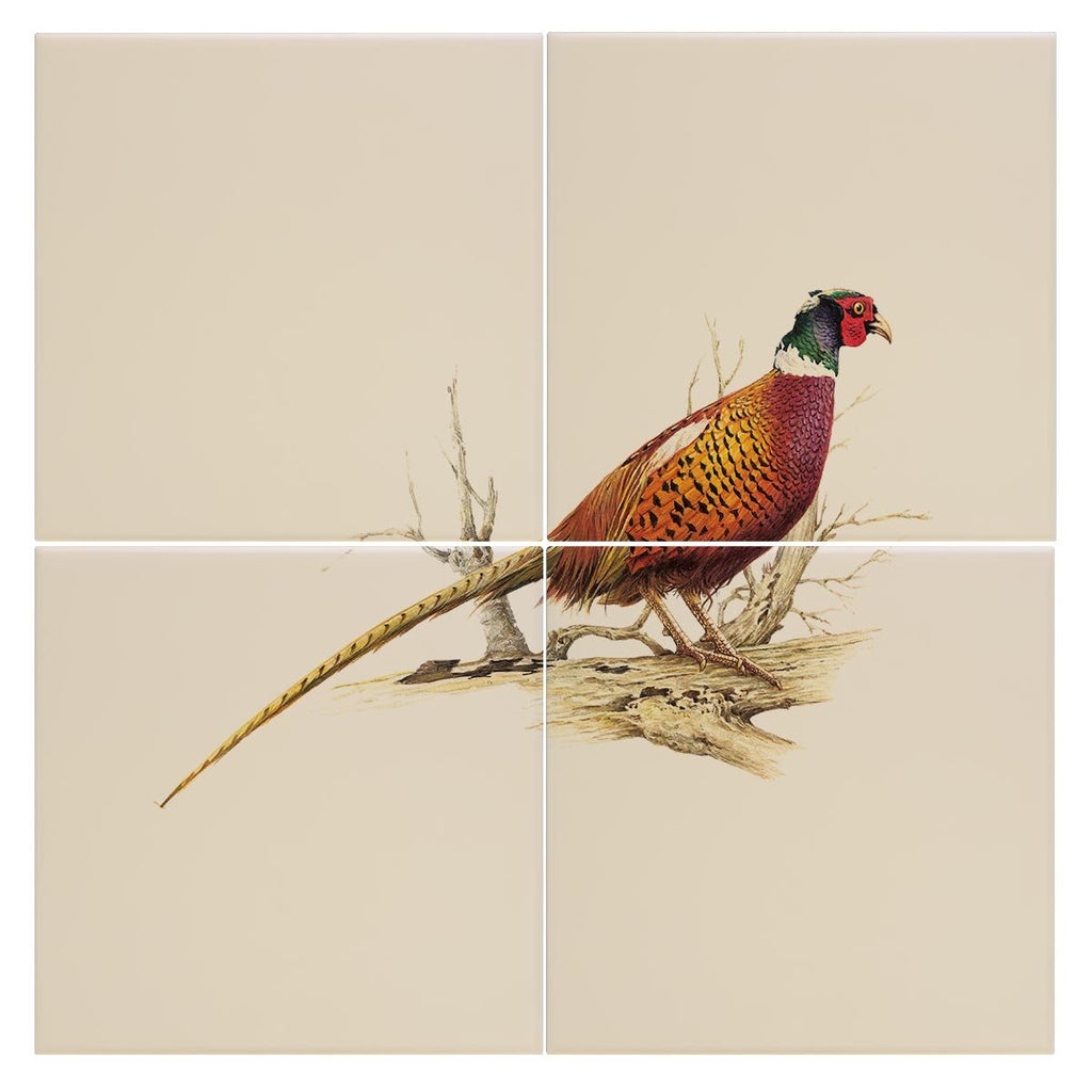 Cock Pheasant Tile - Countryman John