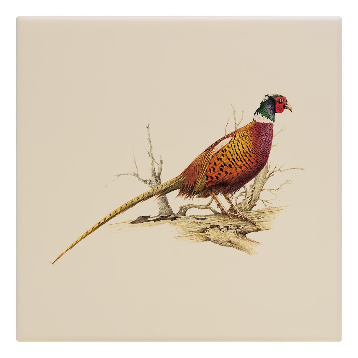 Cock Pheasant Tile - Countryman John