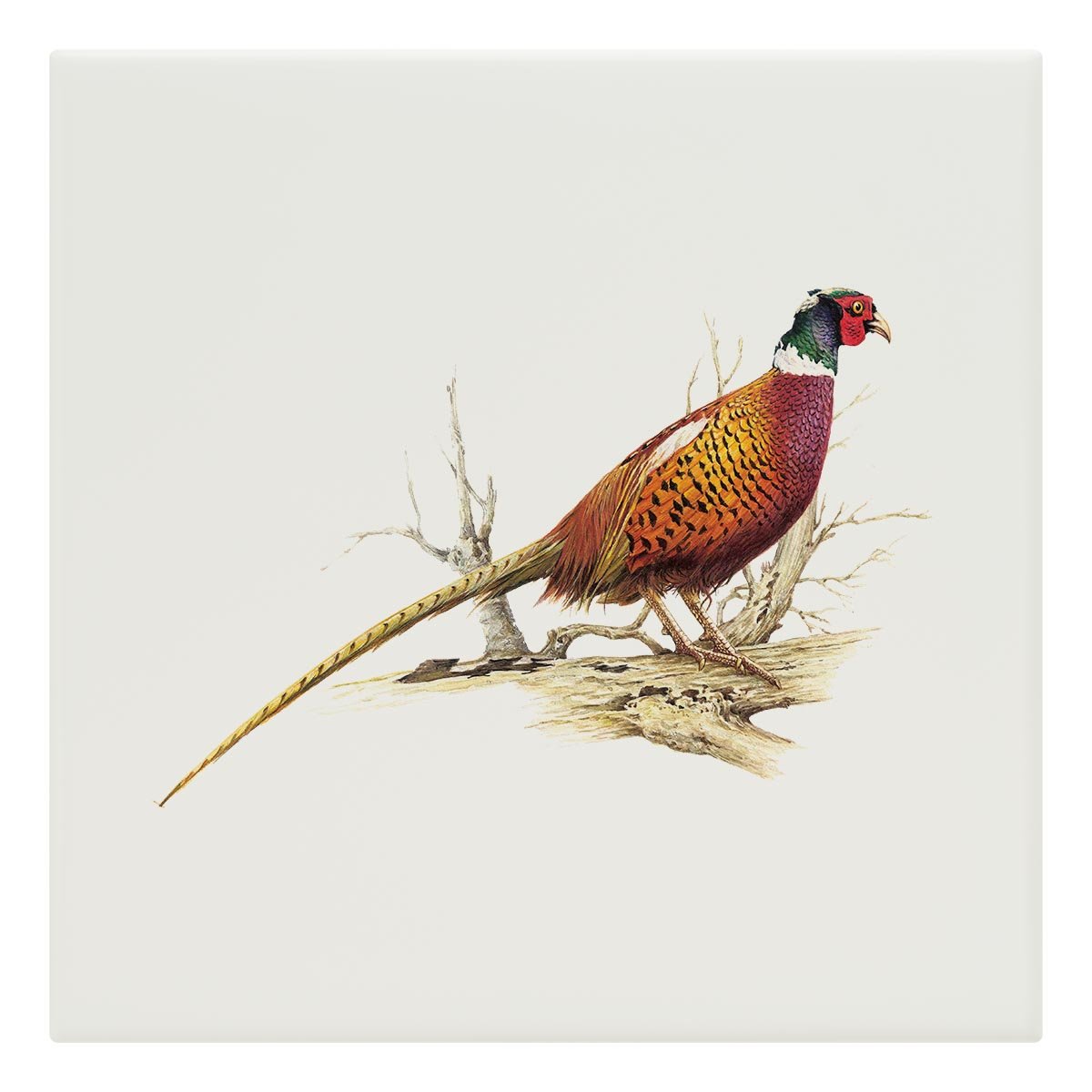 Cock Pheasant Tile - Countryman John