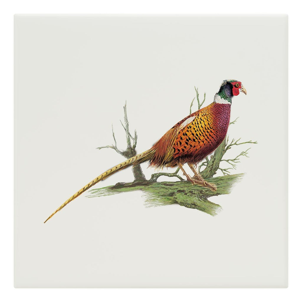 Cock Pheasant on Branch Tile - Countryman John