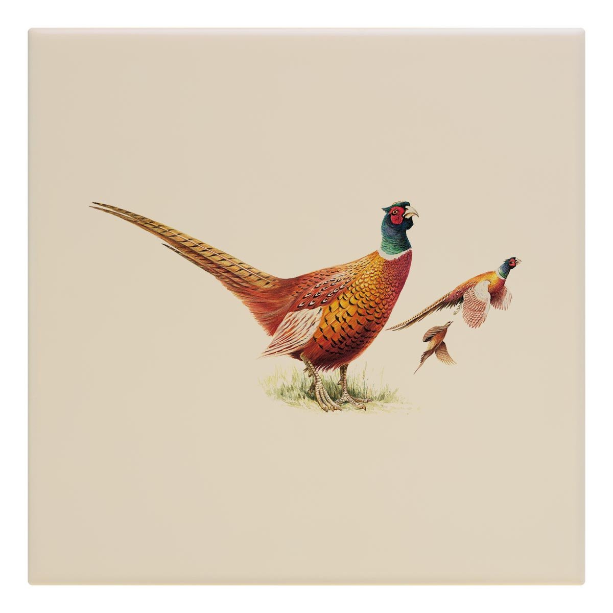 Cock Pheasants Tile - Countryman John