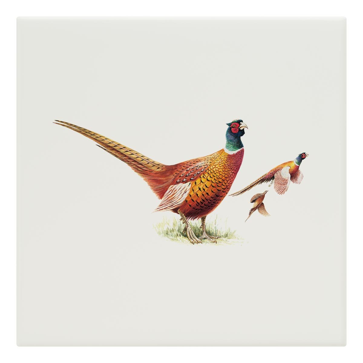 Cock Pheasants Tile - Countryman John