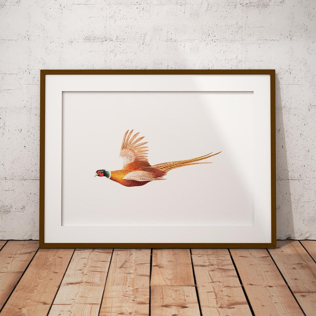 Pheasant in Flight Wall Art Print - Countryman John