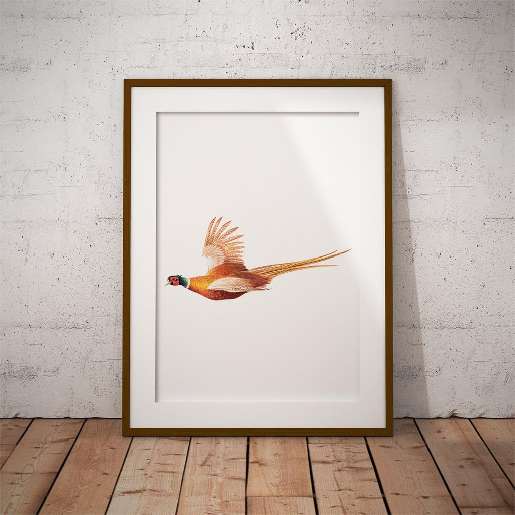 Pheasant in Flight Wall Art Print - Countryman John
