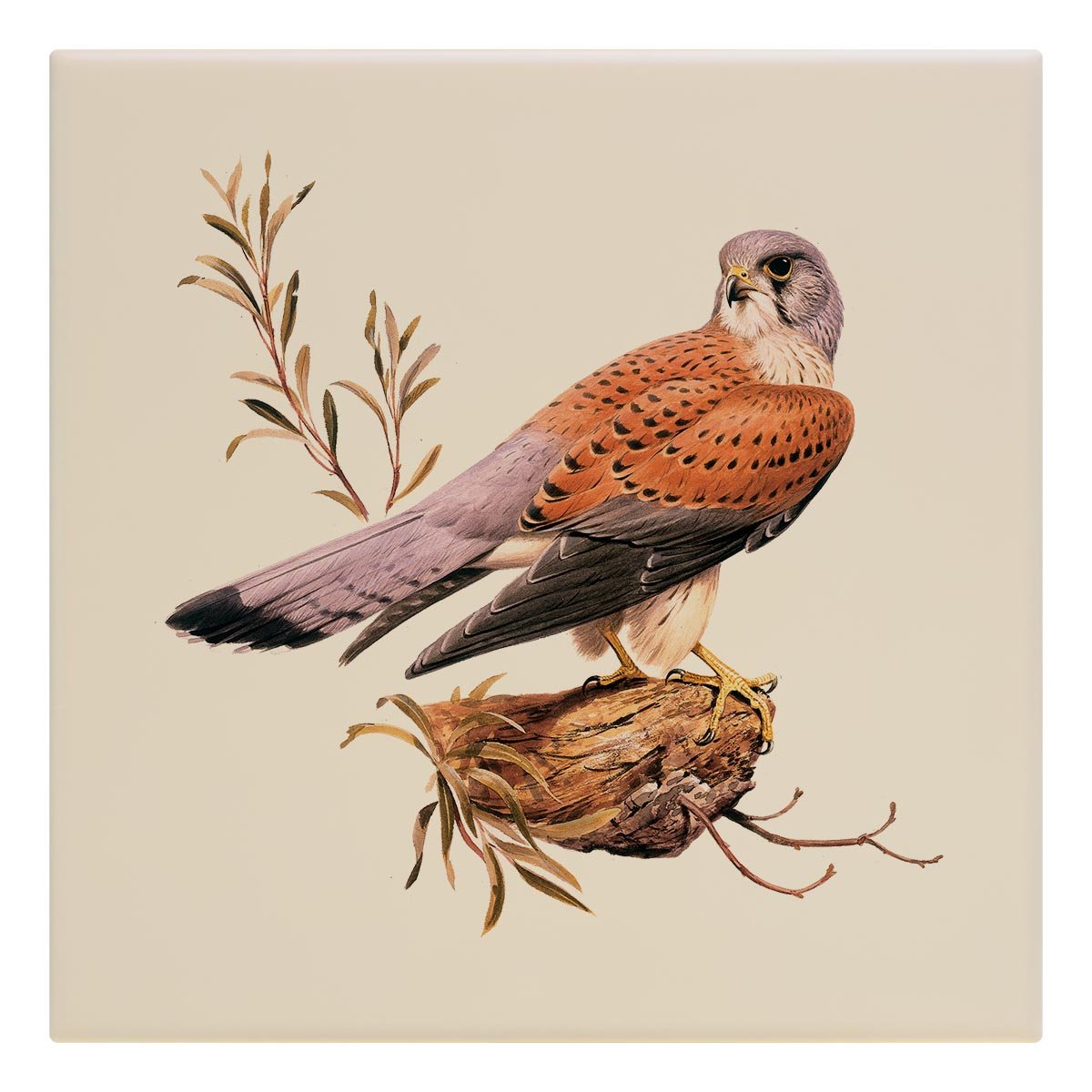 Kestrel Tile - Countryman John