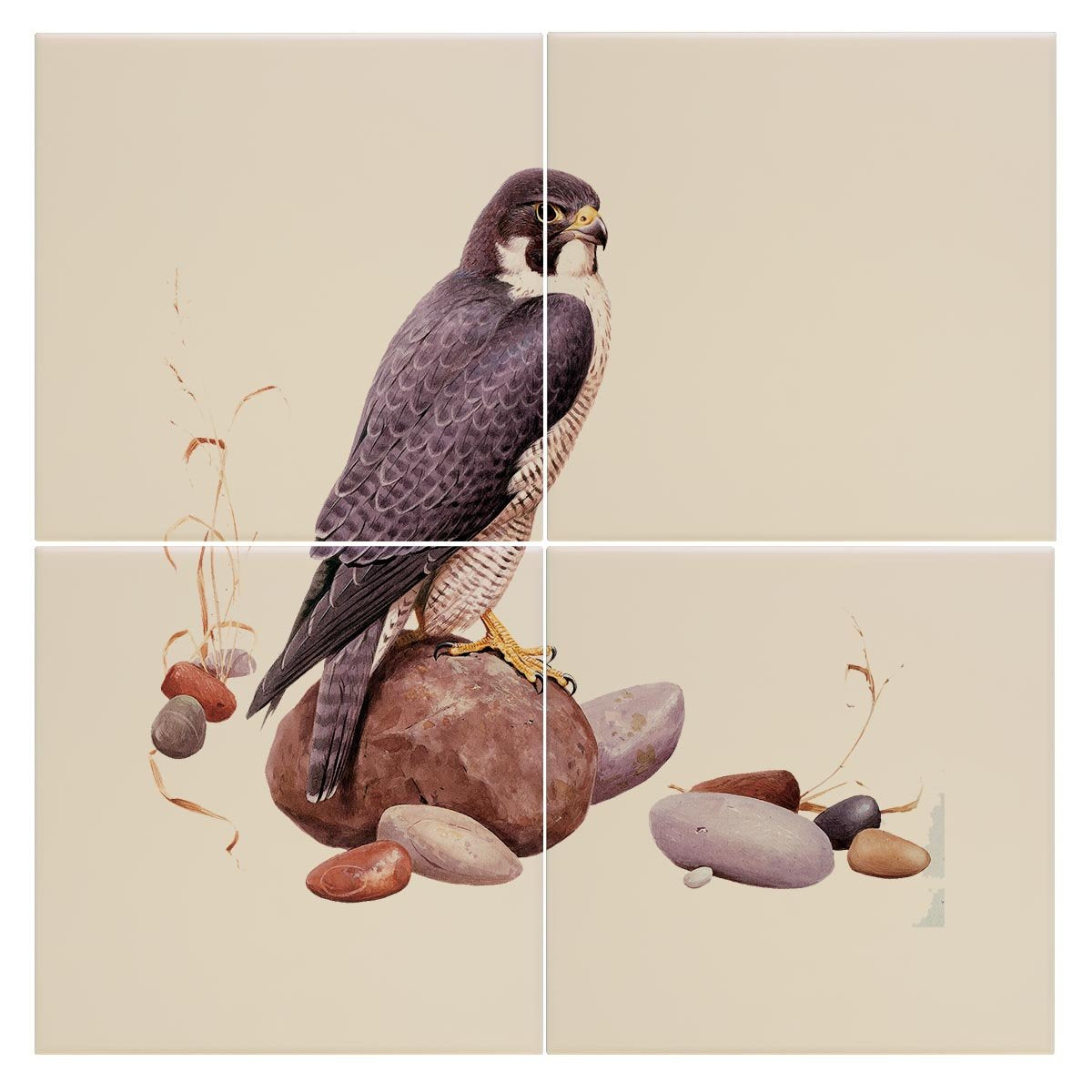 Peregrine Falcon Tile - Countryman John