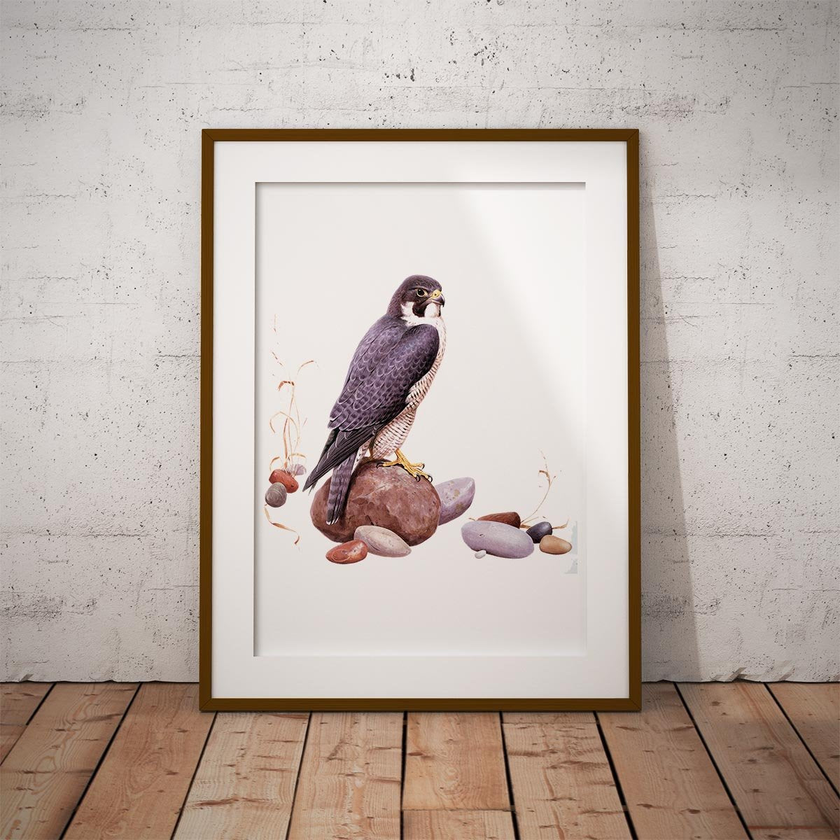 Peregrine Falcon Wall Art Print - Countryman John