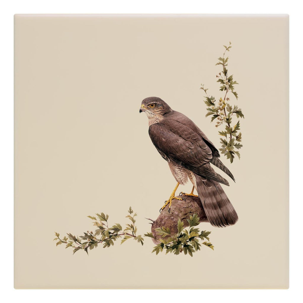 Sparrow Hawk Tile - Countryman John