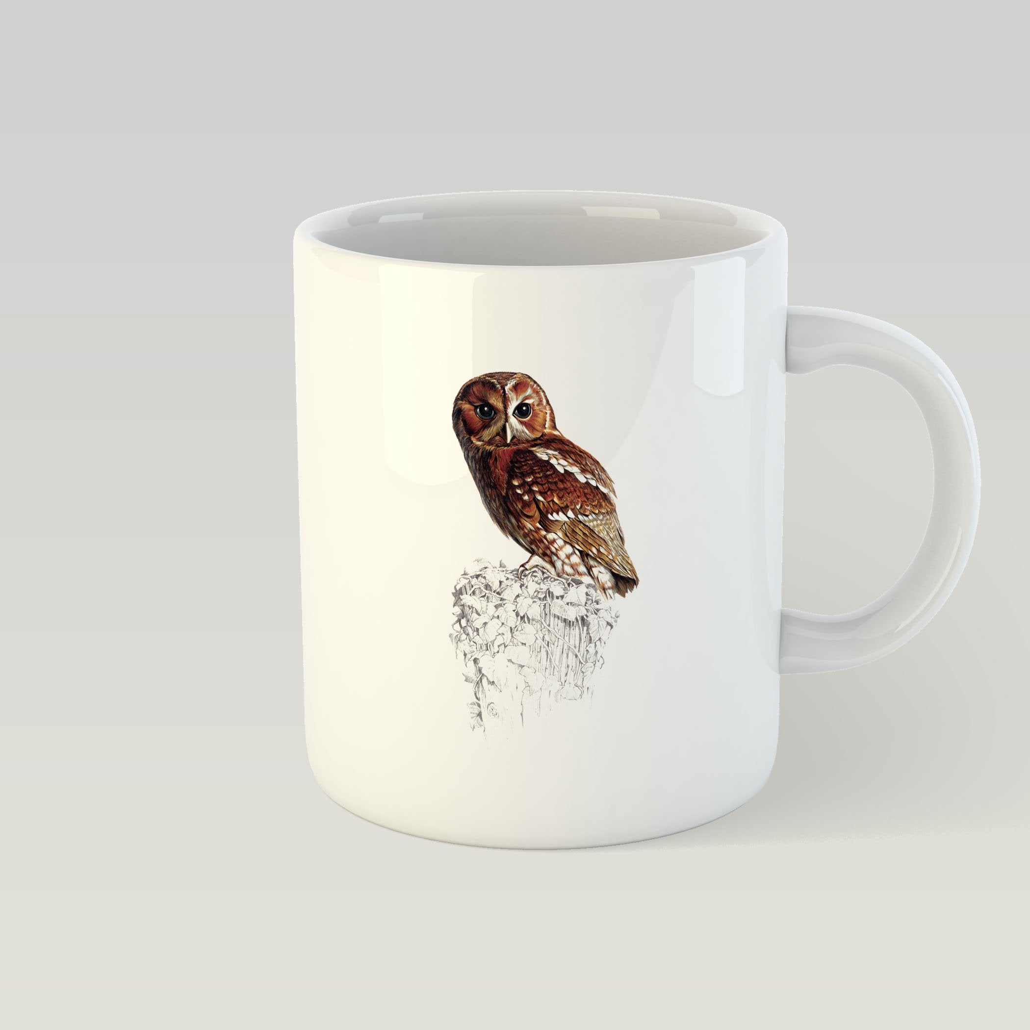 Tawny Owl Mug - Countryman John
