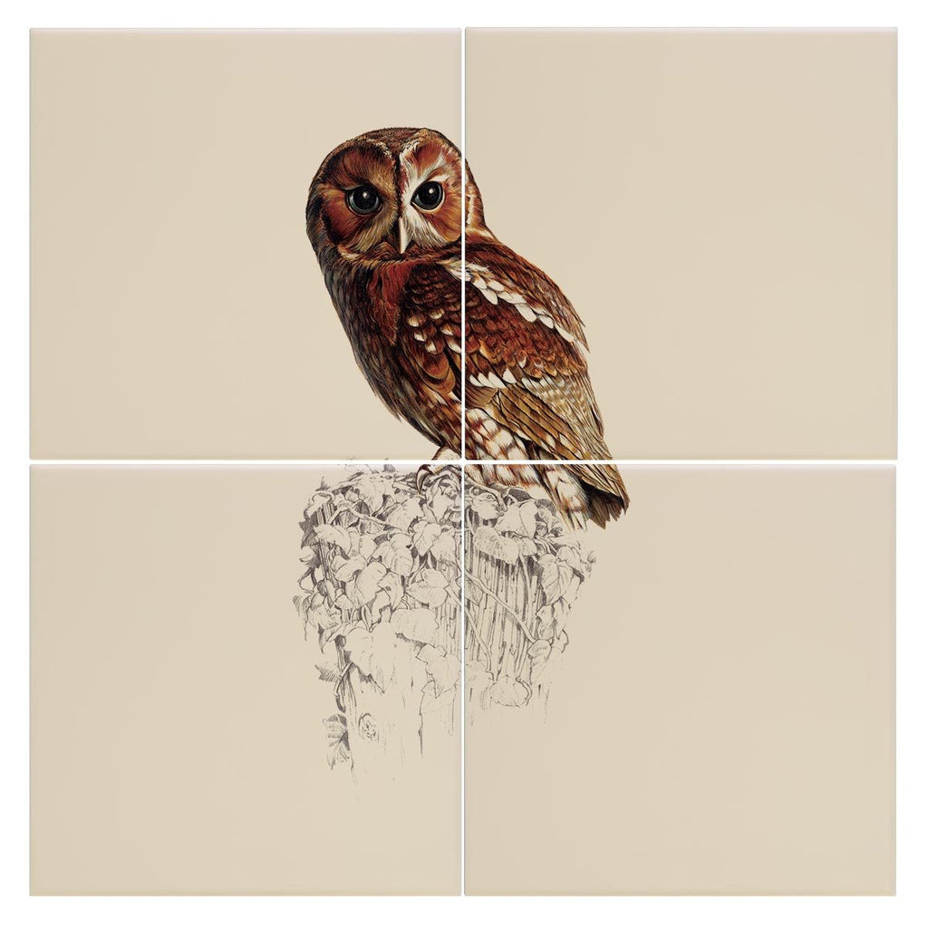 Tawny Owl Tile - Countryman John