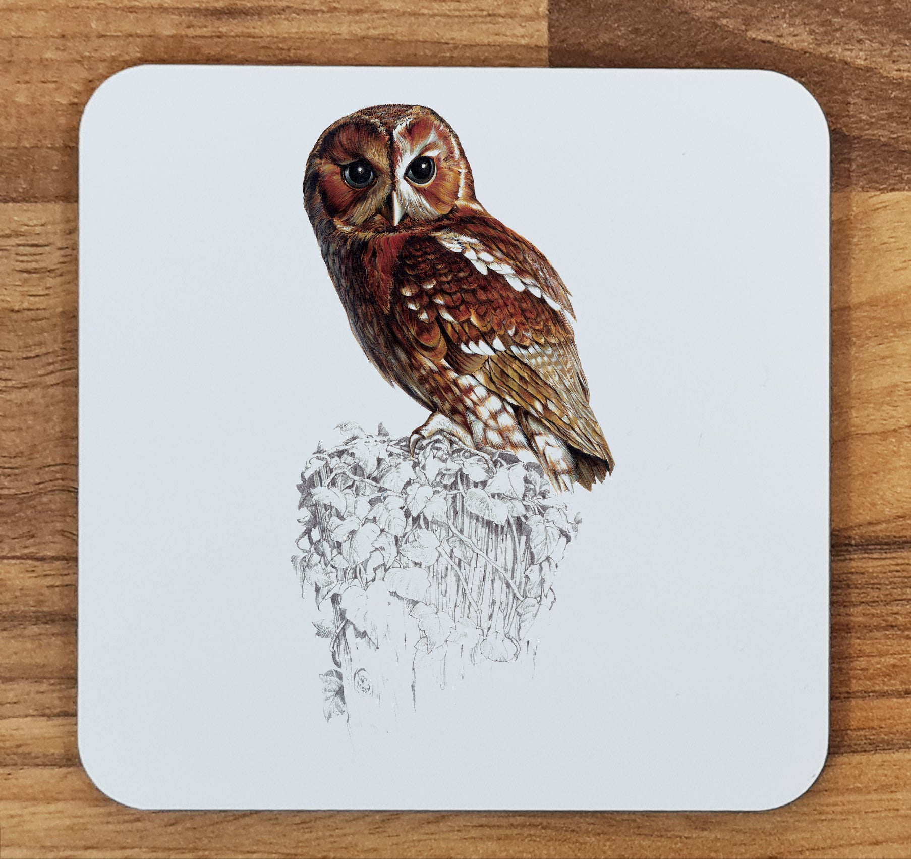 owl coaster