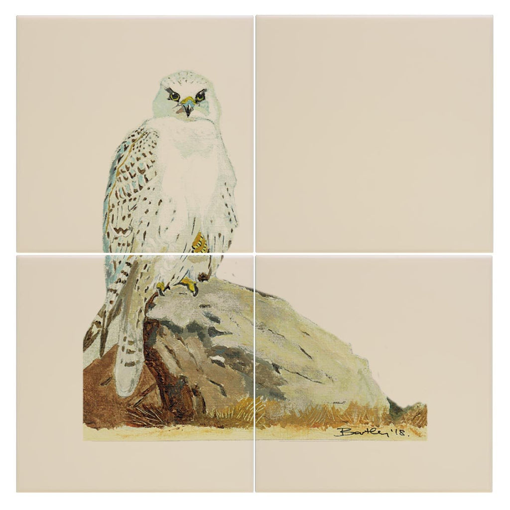 Gyr Falcon Tile - Countryman John