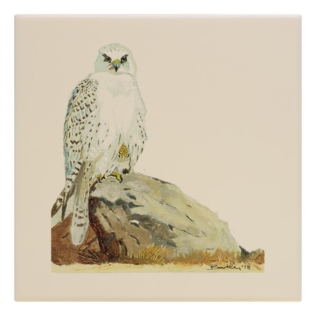 Gyr Falcon Tile - Countryman John