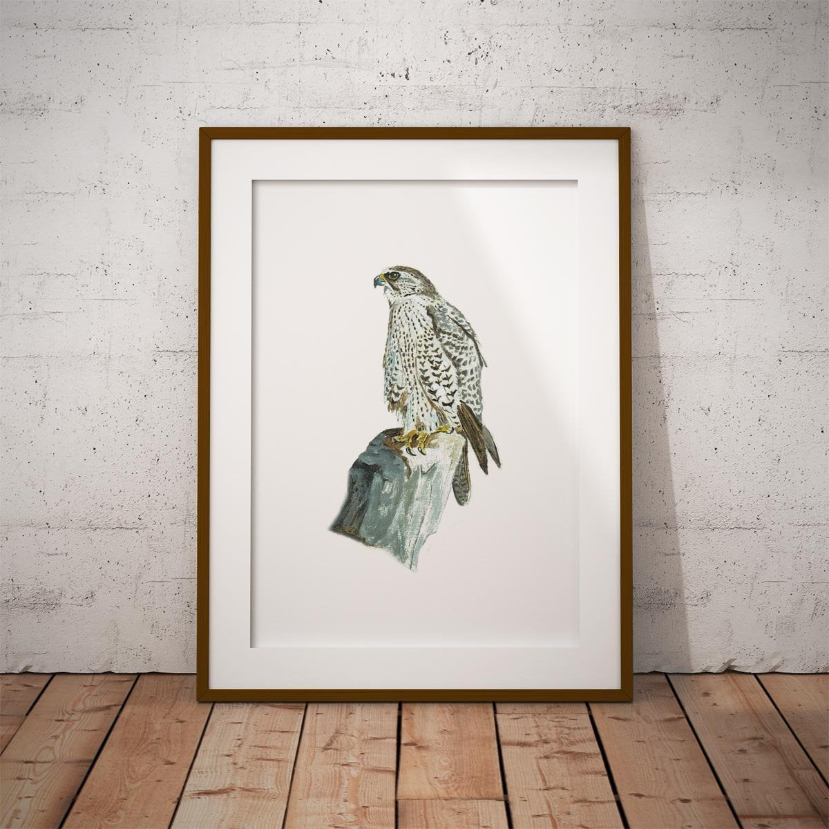 Sahar Falcon Wall Art Print - Countryman John