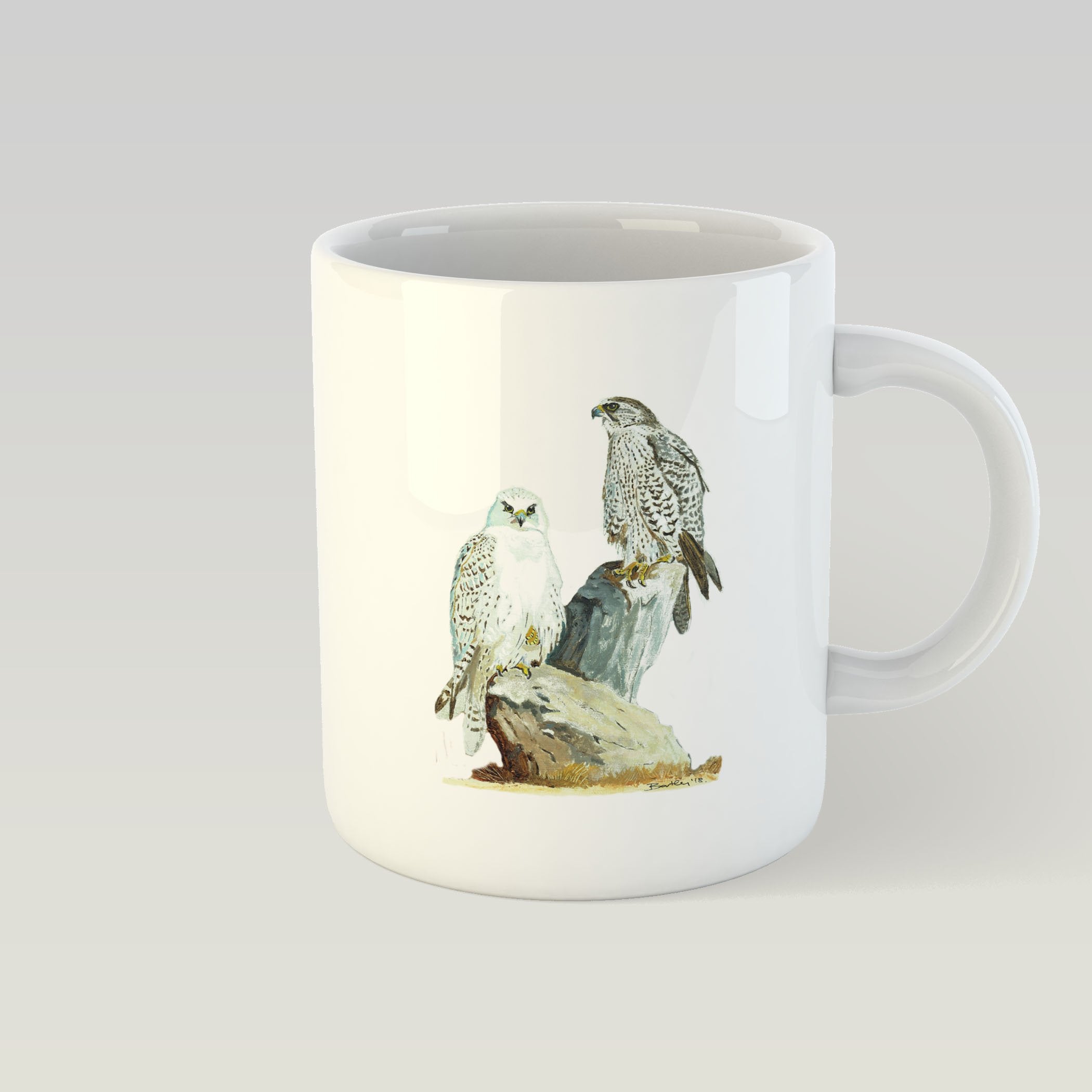 Sahar and Gyr Falcons Mug - Countryman John