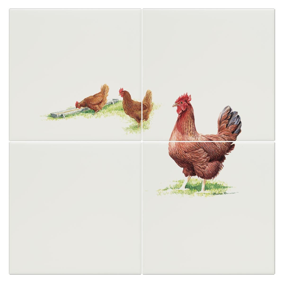 Hens Tile - Countryman John