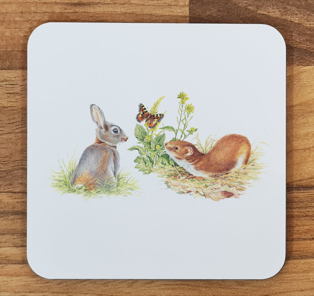 rabbit coaster