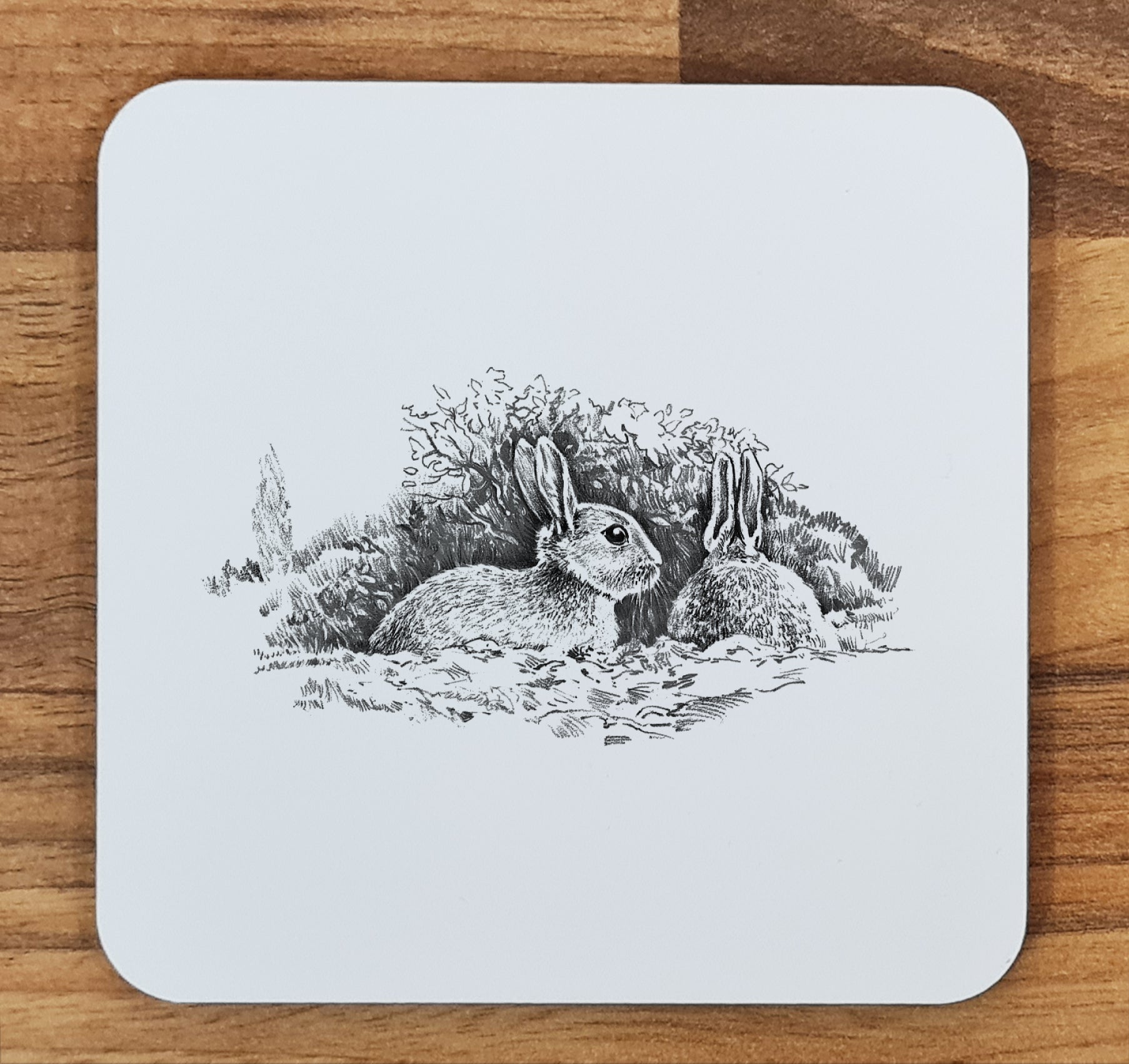 rabbit coaster