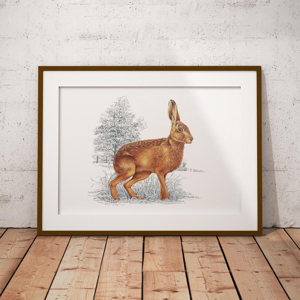 Hare Wall Art Print - Countryman John