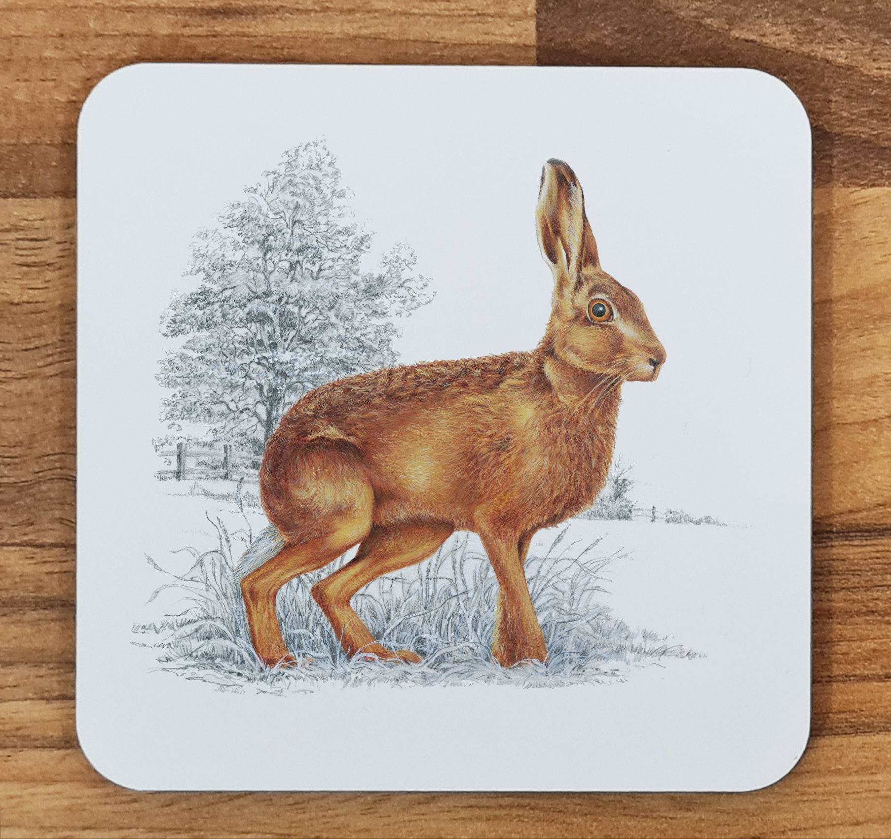 rabbit coaster