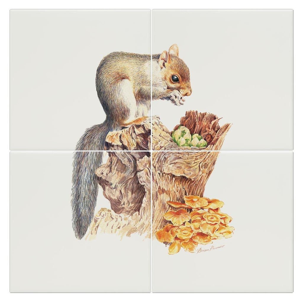 Grey Squirrel Tile - Countryman John