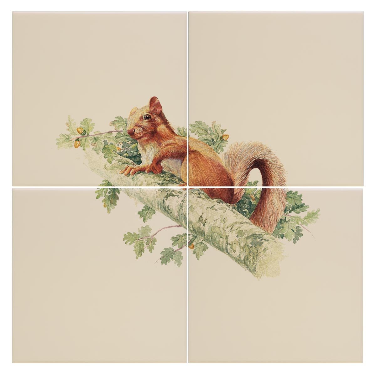 Red Squirrel Tile - Countryman John