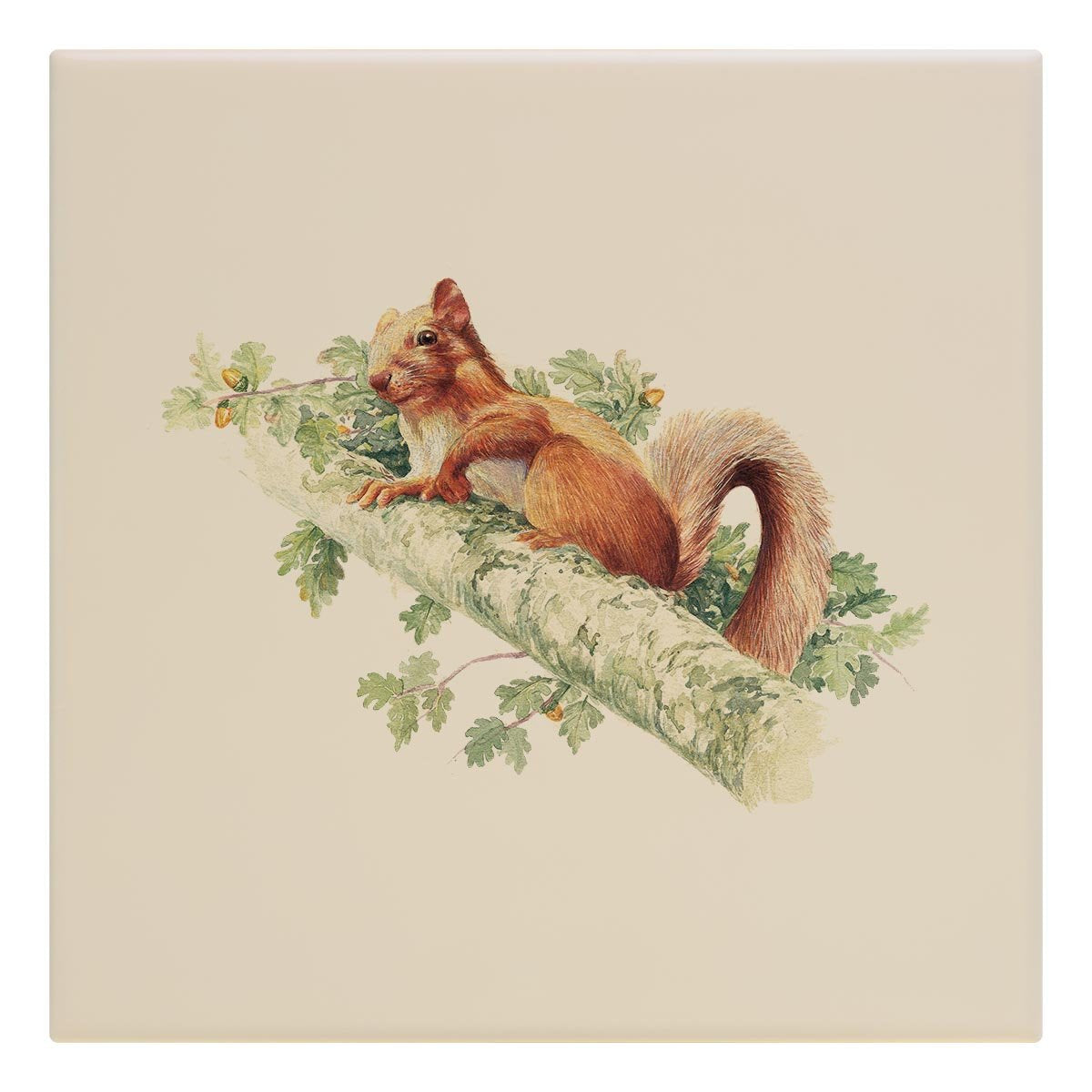 Red Squirrel Tile - Countryman John