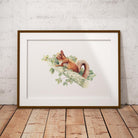 Red Squirrel Wall Art Print - Countryman John