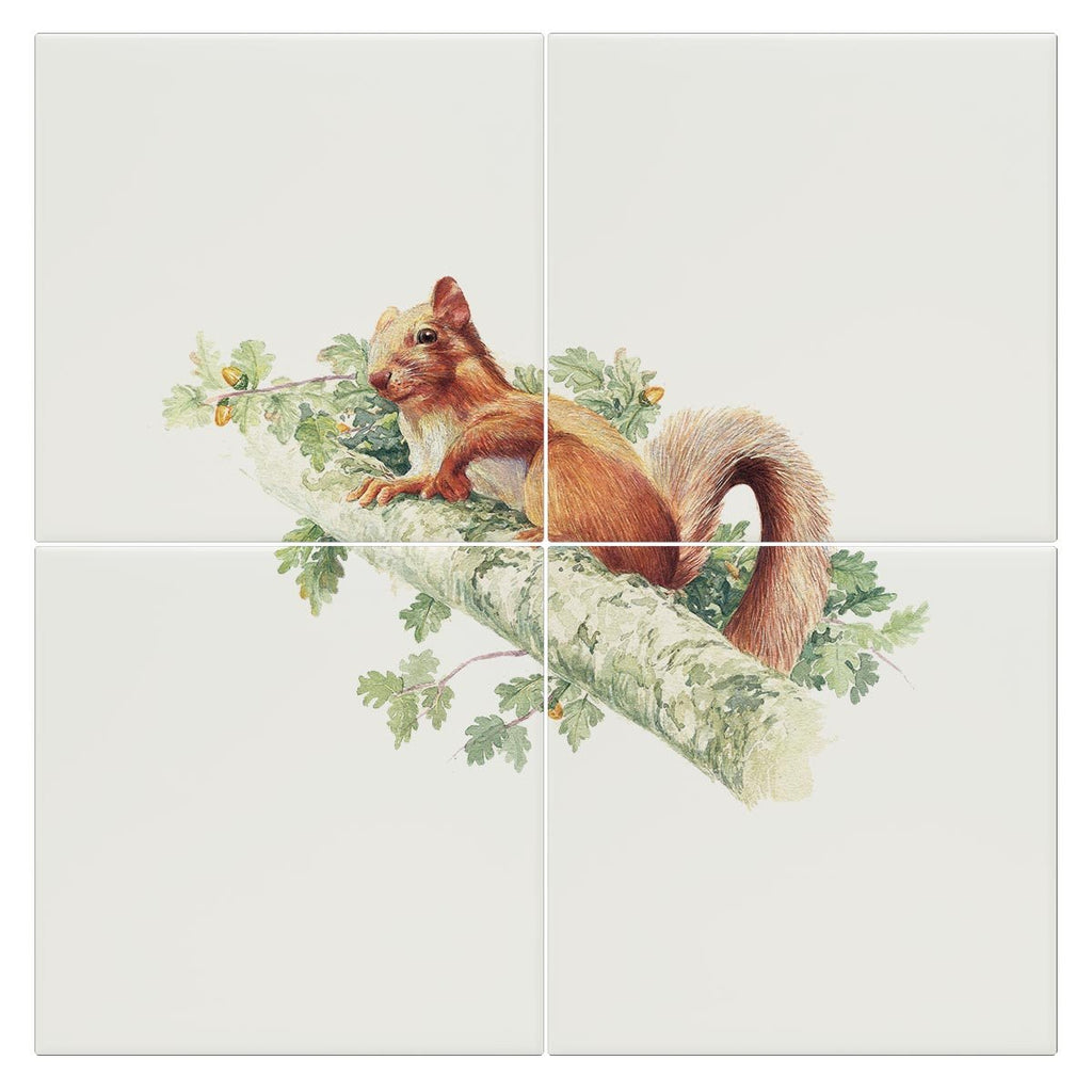Red Squirrel Tile - Countryman John