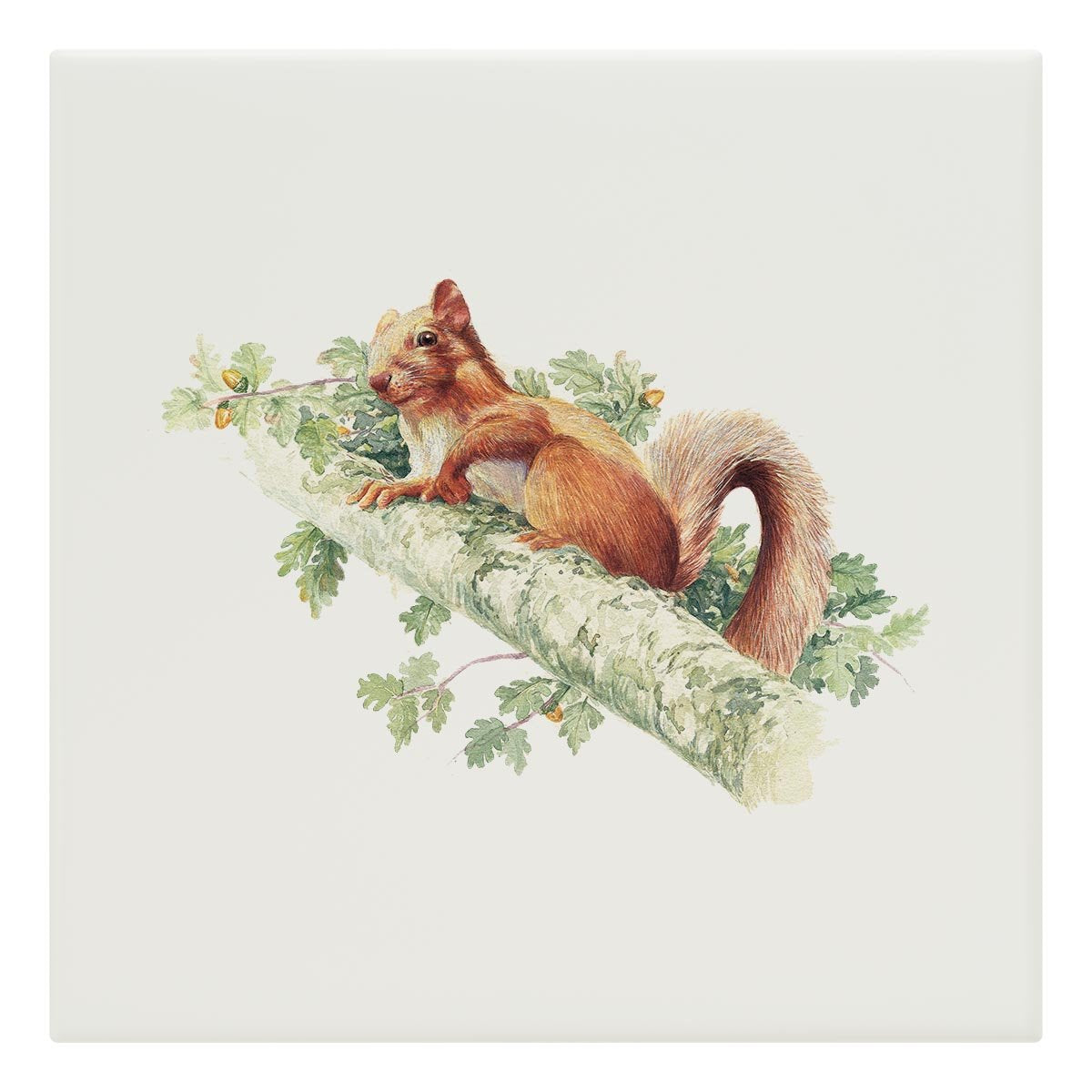 Red Squirrel Tile - Countryman John